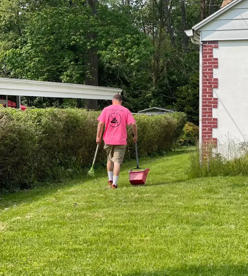 How Pet Waste Removal in York Keeps Your Yard Clean Year Round