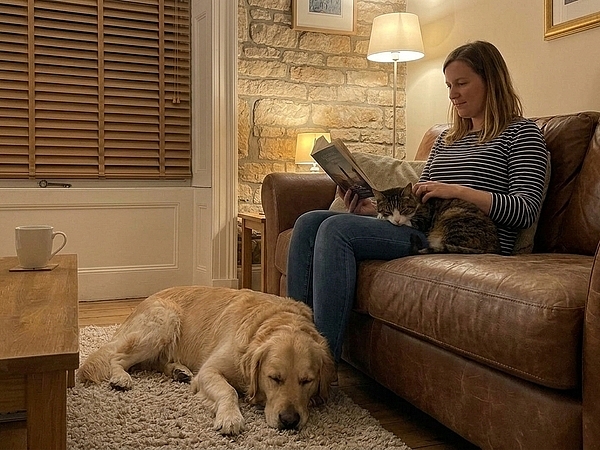Can Pet Sitting in York Keep Pets Calmer at Home?