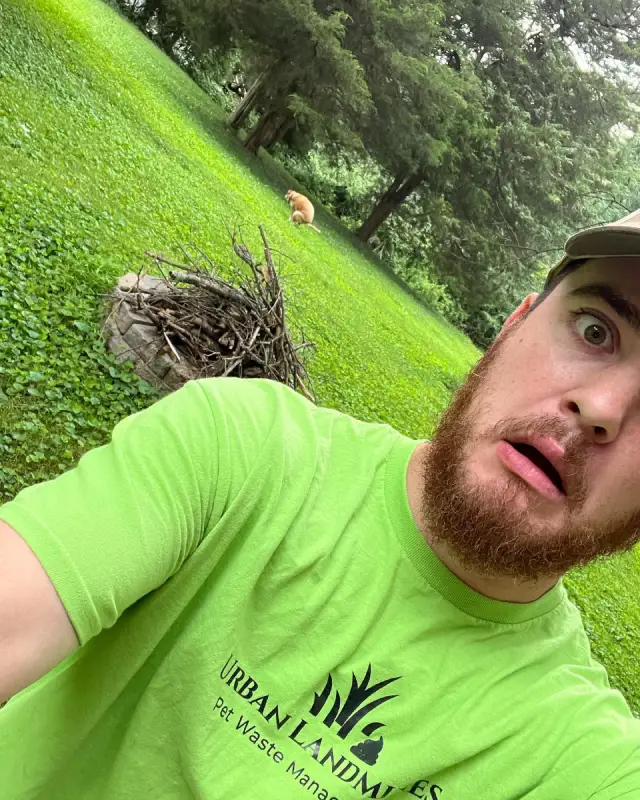 Can Skipping Yard Cleanup Cause Problems for Pets in York?