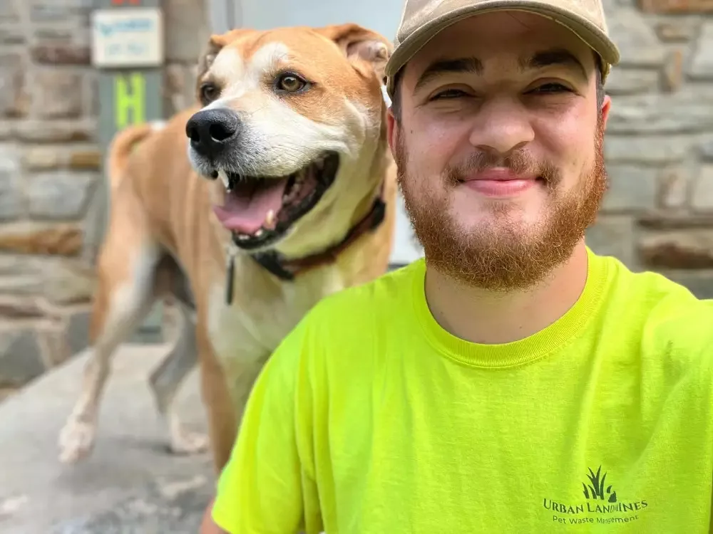 Why Dog Owners in York Trust Weekly Cleanup Services