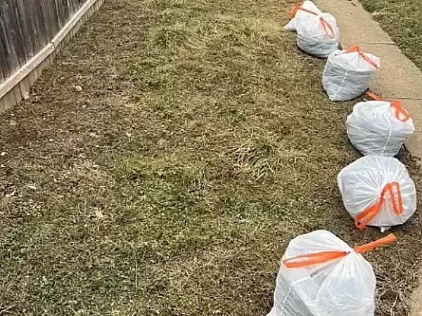 Is Pet Waste Building Up Faster Than You Expect in York?