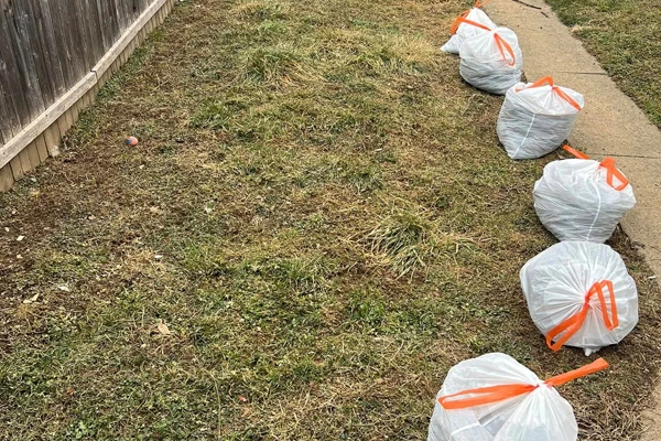 Poop Scooping & removal
