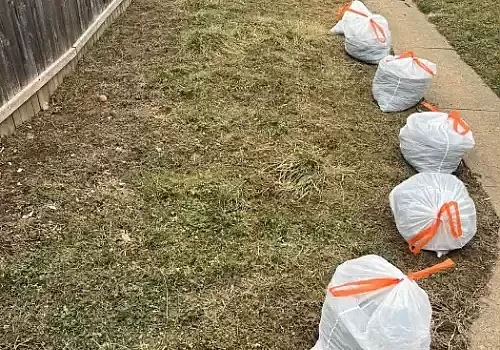 Is Pet Waste Building Up Faster Than You Expect in York?