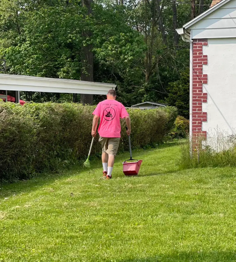 Pet waste removal service in York keeps your yard clean and safe